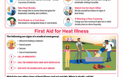 Summer Safety Alert: Know the Signs of Heat Exhaustion and Heat Stroke